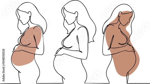 Pregnant women continuous line drawing illustration showing stages of pregnancy and motherhood 