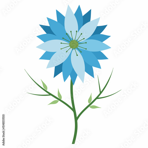 Love-in-a-Mist flower on white background 