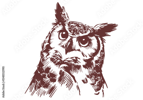 Great Horned Owl hand drawn sketch vector illustration