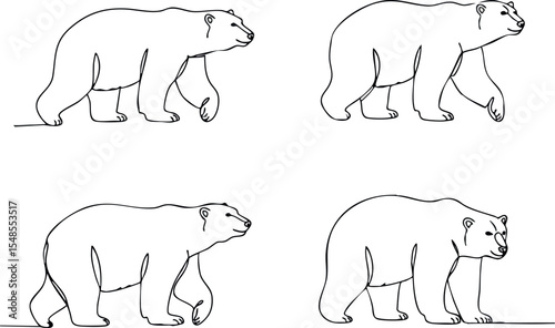 Polar bear walking poses line art vector illustration set natural wildlife animal drawings 