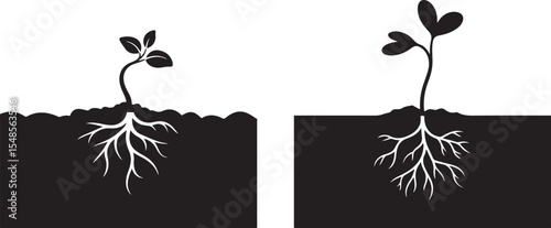 A pair of simple silhouette illustrations depicting young plant sprouts with visible root systems in soil.