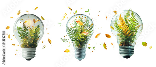 Nature Inside Lightbulbs with Ferns and Leaves for Eco-Friendly Concept