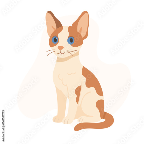 Devon rex cat with big ears and curly coat sits calmly with blue eyes. This devon rex cat captures charm and uniqueness of devon rex breed in clean vector style.