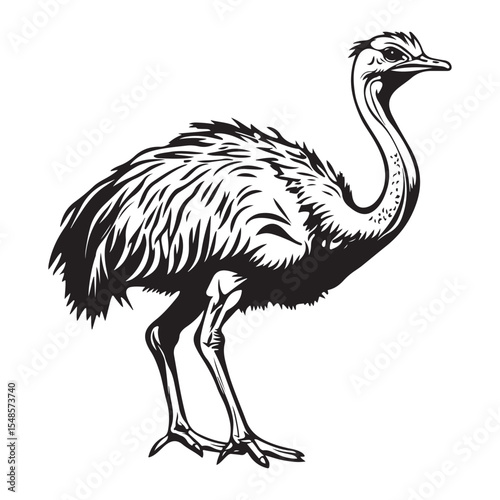 Minimal ostrich bird vector silhouette, Ostrich Standing Body upright long neck stretched legs straight tail resting, full length silhouette black vector illustration 