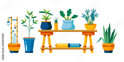 Minimalist Indoor Plant Icons - Succulent, Cactus, Bonsai, Photos.