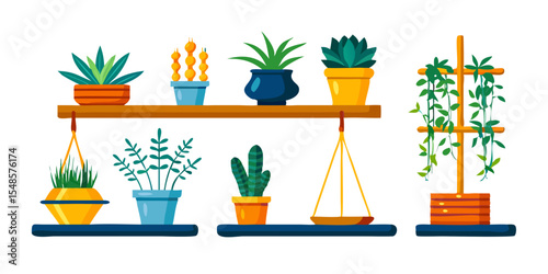 Minimalist Indoor Plant Icons - Succulent, Cactus, Bonsai, Photos.