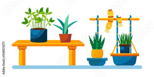 Minimalist Indoor Plant Icons - Succulent, Cactus, Bonsai, Photos.