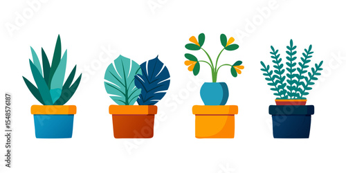 Minimalist Indoor Plant Icons - Succulent, Cactus, Bonsai, Photos.