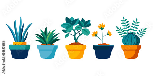 Minimalist Indoor Plant Icons - Succulent, Cactus, Bonsai, Photos.
