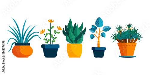 Minimalist Indoor Plant Icons - Succulent, Cactus, Bonsai, Photos.