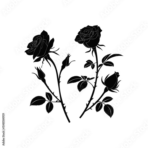 Rose Silhouette: Delicate silhouettes of roses bloom, showcasing their intricate petal arrangement and the beauty of their form against the natural background.