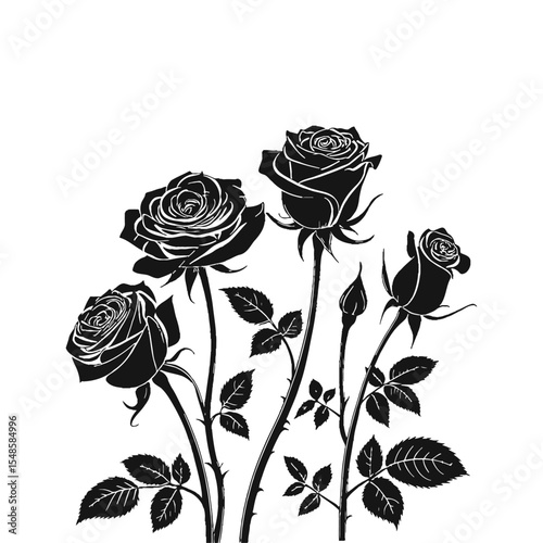 Elegant Rose Silhouette: Exquisite silhouette of roses, their intricate petals and leaves captured in a delicate and artistic monochrome arrangement. A visual celebration of nature's refined beauty