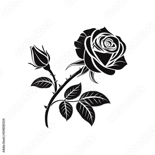 Floral Embrace: A stark, elegant black rose, in full bloom, with a tender bud beside it, embodies the intricate beauty of nature's design. The stark contrast creates a powerful symbol.