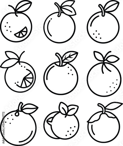 Nine line art oranges fruit illustrations