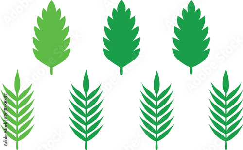 leaf set plant green isolated