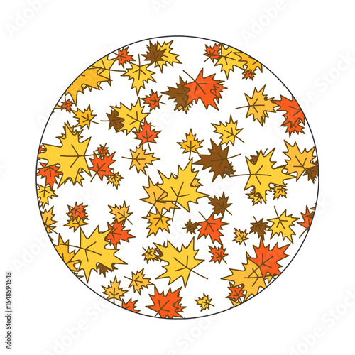 circle of scattered autumn maple leaves design vector illustration