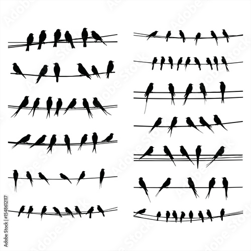 Birds sitting wire. Silhouette flock black bird on telephone electricity cable, swarm feathers swallow or swift pair sparrow love fly animal vector illustration. Silhouette bird wildlife on wire