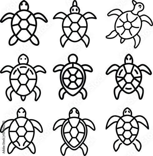 Nine line art sea turtle illustrations set