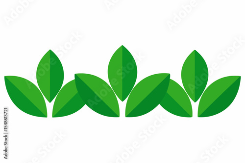Fresh green plant leaves on a white background, isolated for a natural closeup