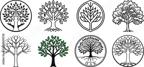 Collection of spring summer forest elements. Trees, bushes, stumps, flowers and mushrooms. Botanical elements set. Vector illustration.
