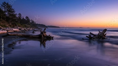 Gentle ocean waves roll on tranquil beach covered in driftwood at sunset. Coastal calm concept seamless looping 4k time-lapse animation video background