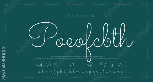 signature Font Calligraphy Logotype Script Brush Font Type Font lettering handwritten  