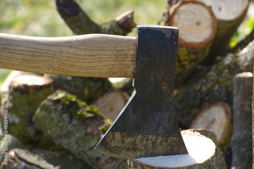 Well-used axe is ready for action, resting on a freshly cut log with a blurred background of more wood.