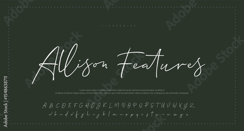 Signature Font Calligraphy Logotype Script Font Type Font lettering handwritten