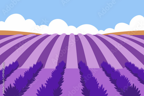 A summer landscape of a lavender field under a blue sky with clouds and distant hills