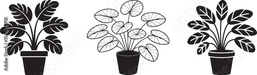 Collection Set of Potted Indoor Plant Silhouette Vector Set with Decorative Leaves in Black and White