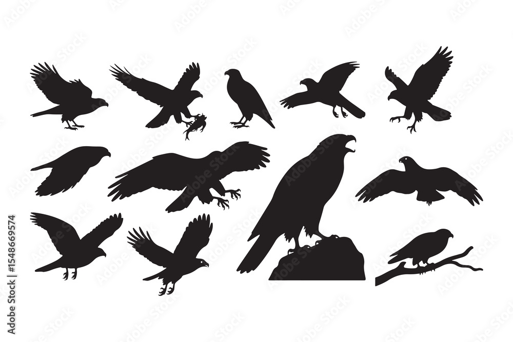 Obraz premium Collection of hawk and eagle silhouettes