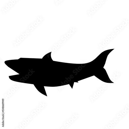 Shark Silhouette