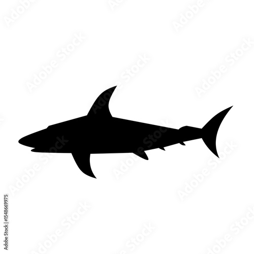 Shark Silhouette