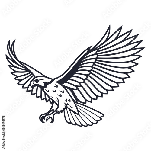 Hand drawn eagle flying drawing illustration