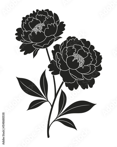 Peony Flower Silhouette – Elegant Black Botanical Illustration with Blooming Detail