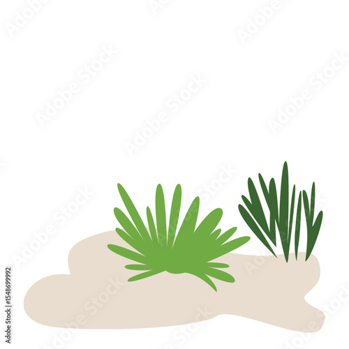 Green grass growing, symbolizing healthy vegetation, perfect for nature, outdoor, and landscaping-themed designs.