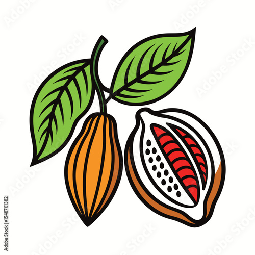 Cocoa Beans and Pods Vector Illustration  Hand-Drawn Botanical Style on White Background