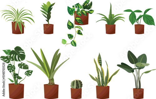 Houseplants. Vector illustration set of house decor with potted plants for animation, cartoon, design interior, banner, poster, or web.