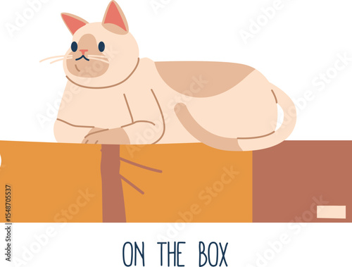 Cat resting on box vector illustration