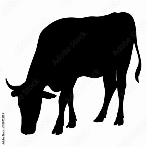 Silhouette of Grazing Cow Isolated on White Background
