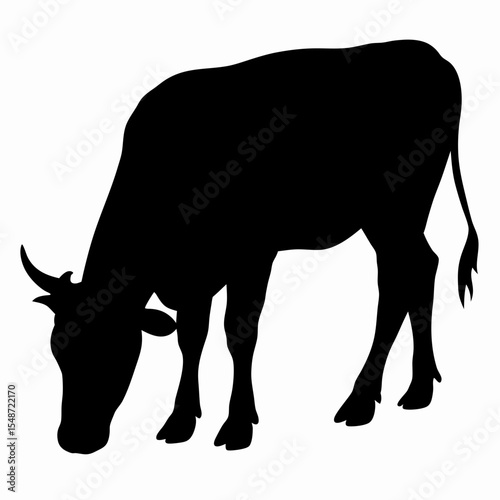 Silhouette of Grazing Cow Isolated on White Background
