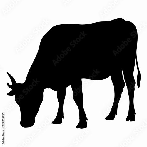 Silhouette of Grazing Cow Isolated on White Background
