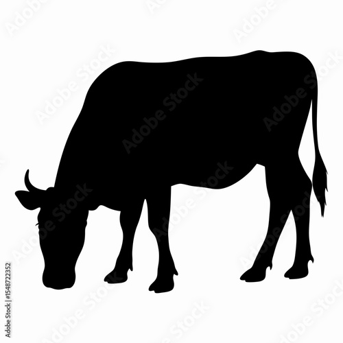 Silhouette of Grazing Cow Isolated on White Background
