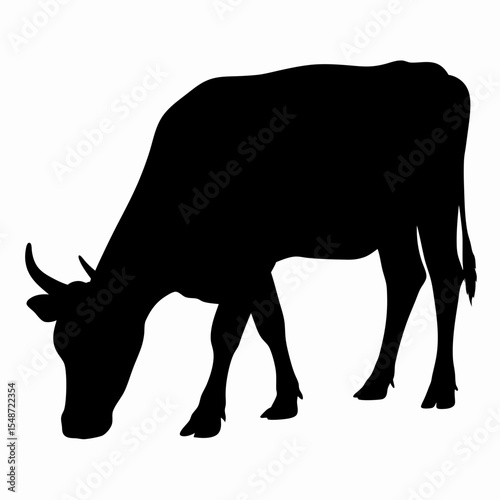 Silhouette of Grazing Cow Isolated on White Background
