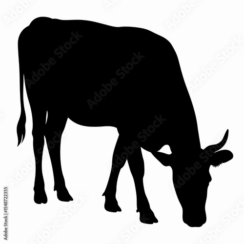 Silhouette of Grazing Cow Isolated on White Background
