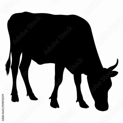 Silhouette of Grazing Cow Isolated on White Background
