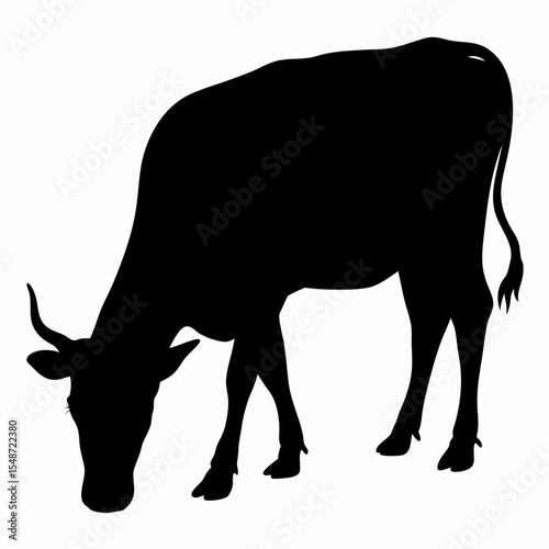 Silhouette of Grazing Cow Isolated on White Background

