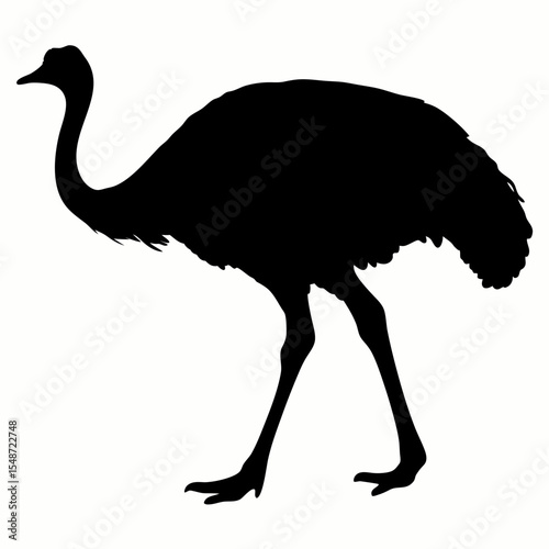 Silhouette of Ostrich Bird Walking Isolated on White Background
