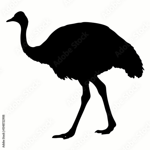 Silhouette of Ostrich Bird Walking Isolated on White Background
