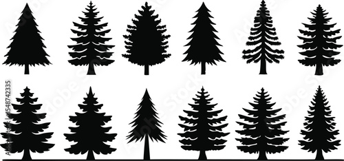 Set of Pine Tree Silhouettes Vector Collection,set of different tree silhouette vector,Pine tree vector silhouette,silhouette black color vector,pine tree forest silhouette,illustration,Ai
